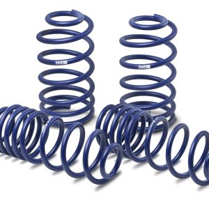 Lowering Springs